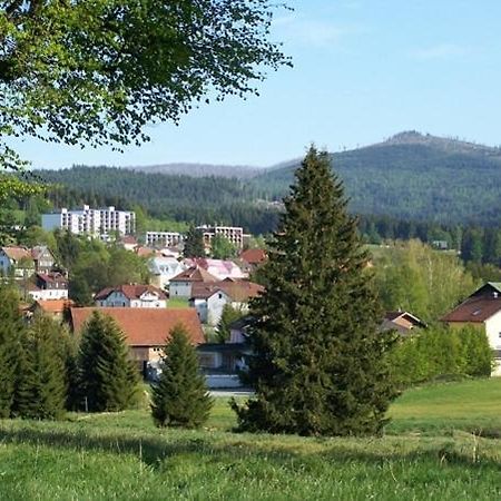 Haus Hochstein Lejlighedshotel Haidmühle Eksteriør billede