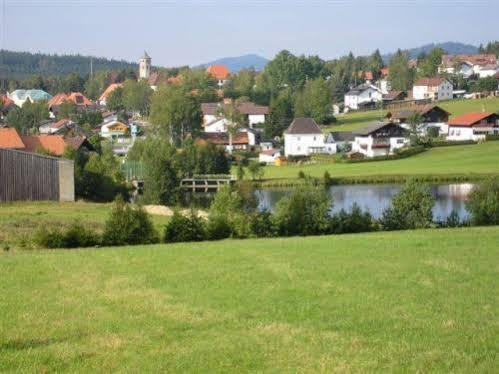 Haus Hochstein Lejlighedshotel Haidmühle Eksteriør billede